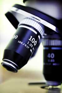 How well can we peer into another's mind? How well can we peer into another's mind?