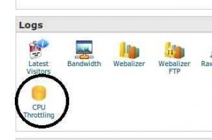 Throttling status in Bluehost's cPanel