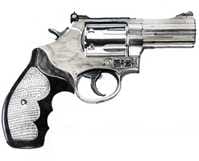Let citizens arm themselves?